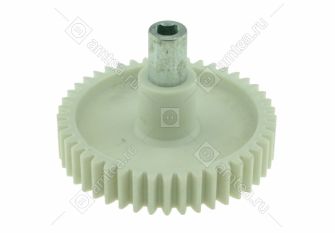 Шестерня мясорубки Ротор, Дива